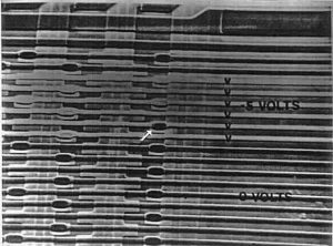 Read Chip PIC18F4455 Eeprom