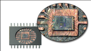 Discover PIC MCU Microchip PIC16C505 memory program