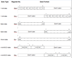 data format in the general register